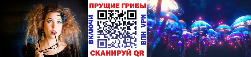 Купить закладки  Бронницы  Псилоцибиновые грибы мицелий 